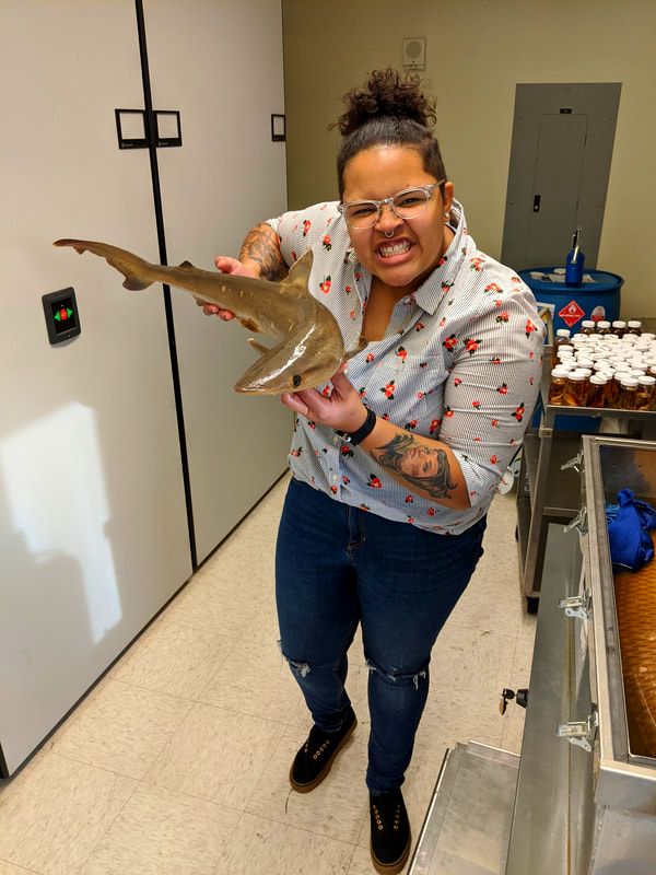 Brittany holding a shark specimen from a natural history collection museum
